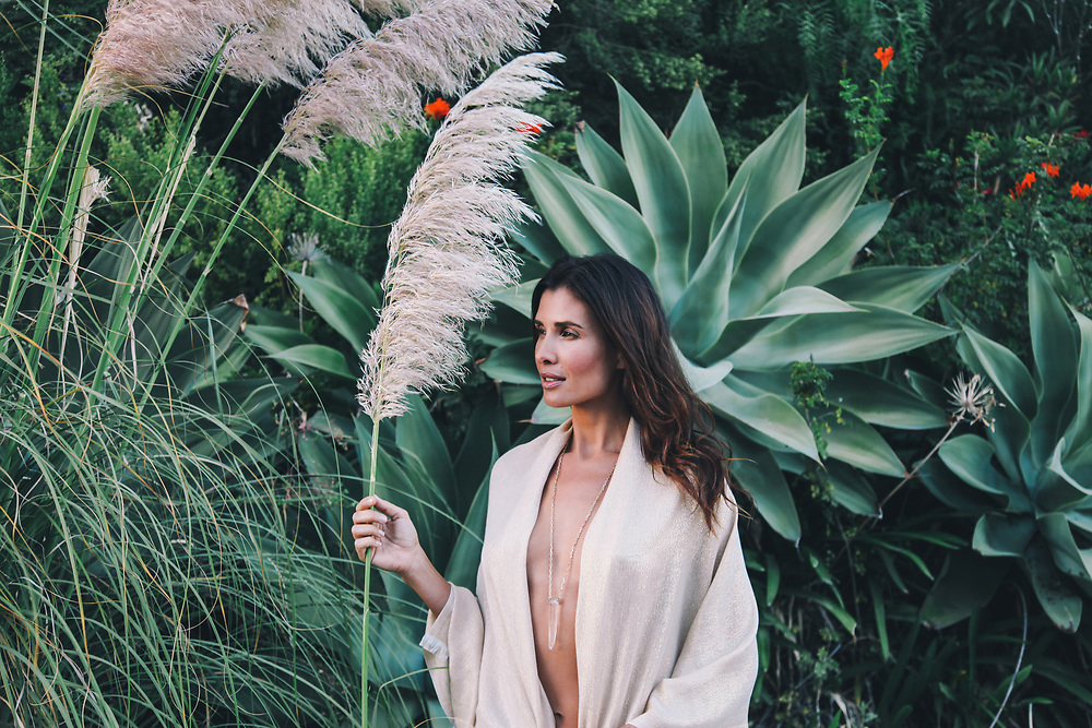 agave